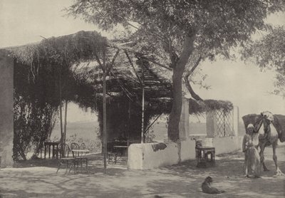 Caffetteria nel Giardino della Vergine a Matariyeh, dove visse Giuseppe da English Photographer