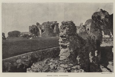 Castello di Denbigh, Denbighshire da English Photographer