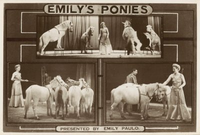 Emily Paulo e i suoi pony addestrati (foto) da English Photographer