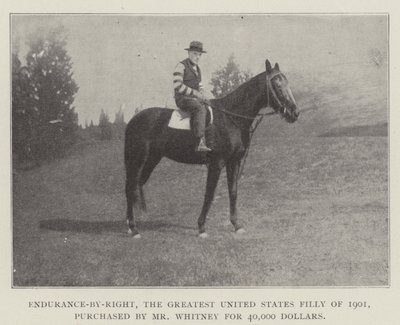 Endurance-by-Right, la più grande puledra degli Stati Uniti del 1901, acquistata dal signor Whitney per 40.000 dollari da English Photographer