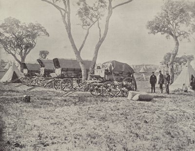 Campo degli ingegneri, Langwarrin, Victoria da English Photographer