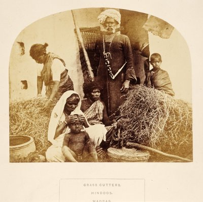 Tagliatori di Erba, Hindoo, Madras, da The People of India, di J. Forbes Watson, pubblicato nel 1868 da English Photographer