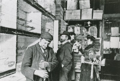 Negozio di animali a Great Portland Street da English Photographer