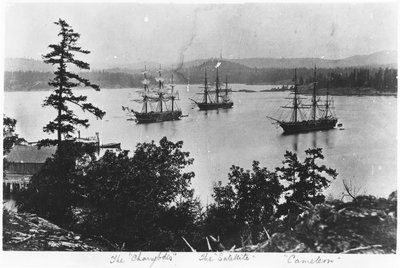 HMS Charybdis, HMS Satellite e HMS Cameleon al cantiere navale della Royal Navy di Esquimalt, Columbia Britannica, c.1880 da English Photographer