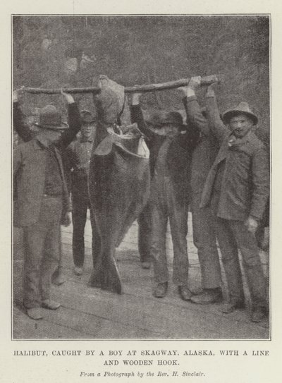 Halibut, catturato da un ragazzo a Skagway, Alaska, con una lenza e un amo di legno da English Photographer