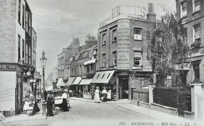 Hill Rise, Richmond: vista generale, 1895 da English Photographer