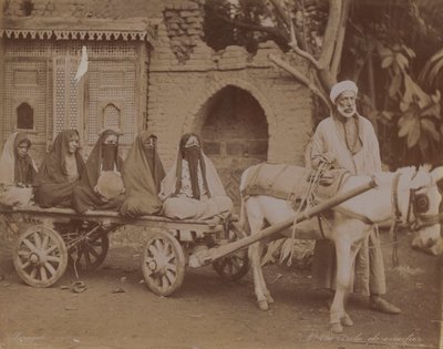 Carro trainato da cavalli, Il Cairo, 1893 da English Photographer