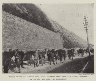 Cavalli della 79ª batteria della Royal Field Artillery in esercizio prima dell