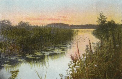 Hoveton Broad da English Photographer