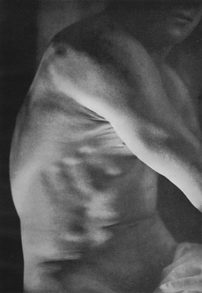 Illustrazione per The Male Body da English Photographer