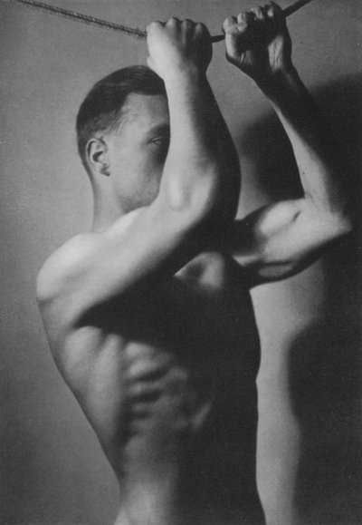 Illustrazione per The Male Body da English Photographer