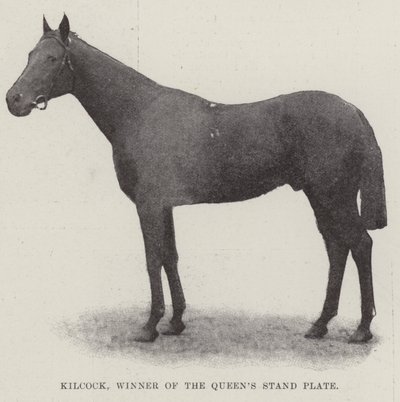 Kilcock, vincitore della Queens Stand Plate da English Photographer