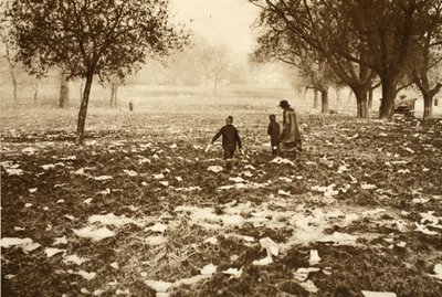 Erba disseminata di rifiuti su Hampstead Heath il giorno dopo una festa nazionale, da Wonderful London, pubblicato 1926-27 da English Photographer