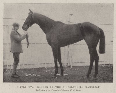 Little Eva, vincitrice dell