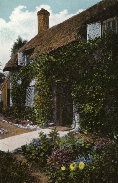 Cottage di Little Jane, Brading da English Photographer