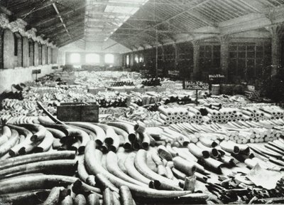 Docks di Londra: magazzino dell
