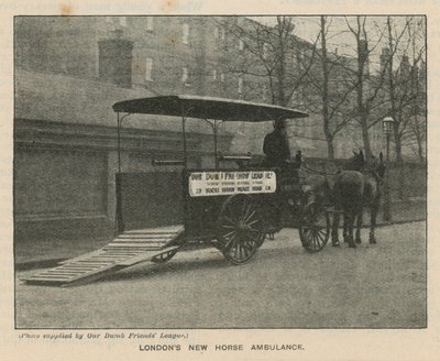 La nuova ambulanza a cavallo di Londra da English Photographer