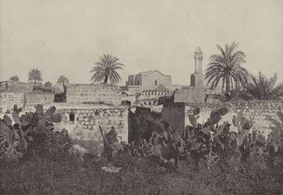 Lydda, l