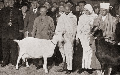 Mahatma Gandhi arriva a Londra, Inghilterra nel 1931 con il suo discepolo, Madeleine Slade, e le sue due capre, da La storia di venticinque anni, pubblicato nel 1935 da English Photographer