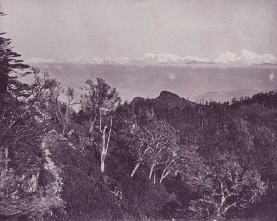 Monte Everest, da Sandakphoo, Darjeeling da English Photographer