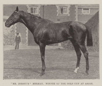 Il merman di Mr Jersey, vincitore della Gold Cup ad Ascot da English Photographer