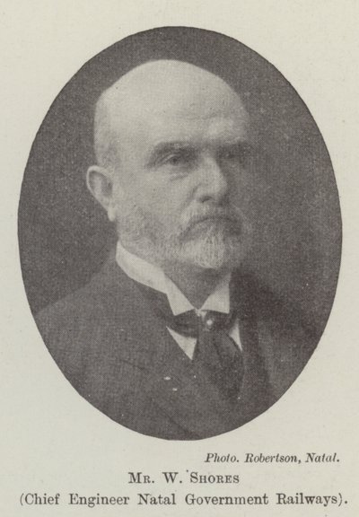 Il Sig. W Shores, Ingegnere Capo delle Ferrovie del Governo del Natal da English Photographer