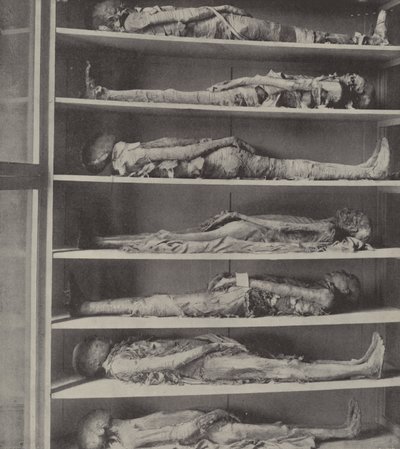 Mummie di sacerdoti, i corpi dei sacerdoti imbalsamati prima che Aronne e i suoi figli fossero nominati da English Photographer