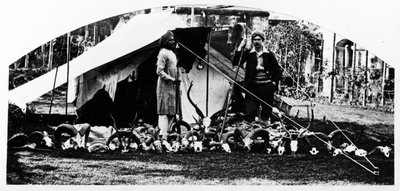 I miei trofei di caccia indiani, c.1870 da English Photographer