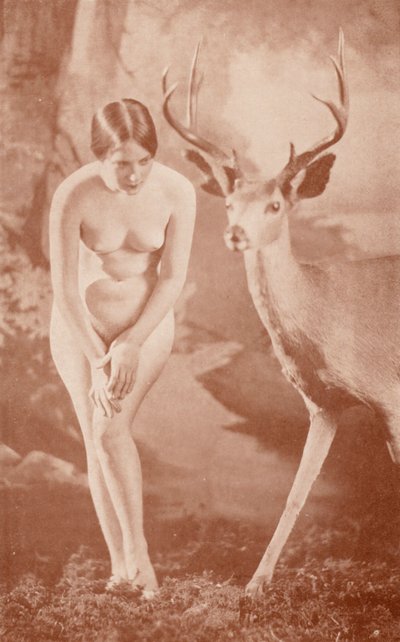 Arte nudista: Idillio nella foresta da English Photographer