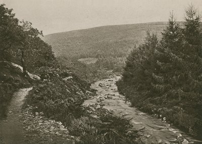 Sentiero presso Bagworthy Water, Doone Valley da English Photographer