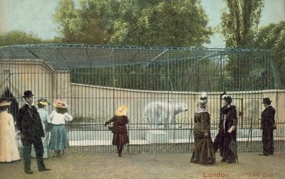 Persone che visitano il recinto degli orsi polari allo Zoo di Londra da English Photographer
