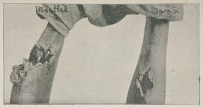 Fotografia dal saggio 