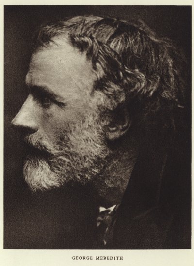 Ritratto di George Meredith da English Photographer