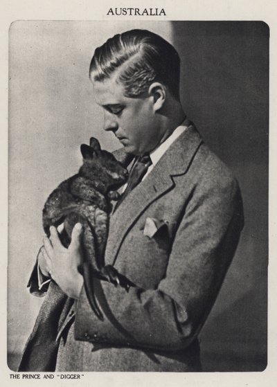Principe di Galles e Digger, un cucciolo di canguro da English Photographer