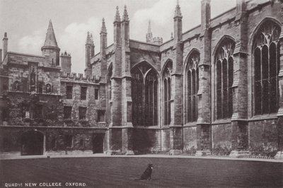 Quadrilatero del New College, Oxford da English Photographer