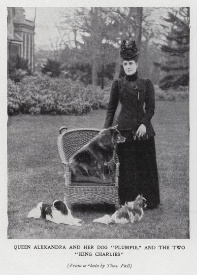Regina Alessandra con il suo cane, Plumpie, e i suoi due spaniel King Charles da English Photographer
