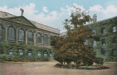 Queens College da English Photographer
