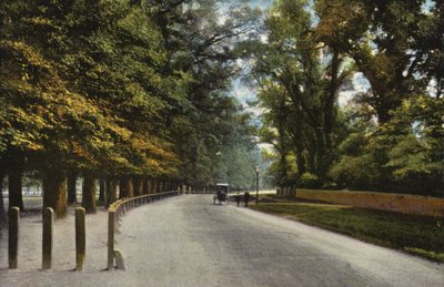 Queens Road, the Backs da English Photographer