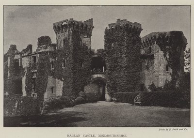 Castello di Raglan, Monmouthshire da English Photographer