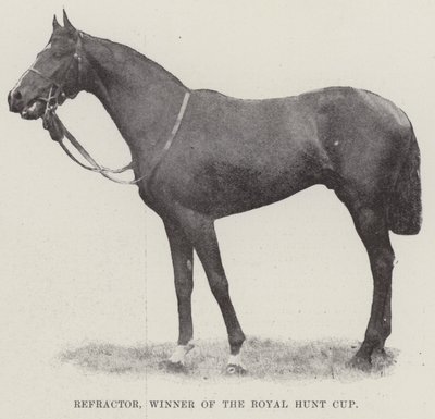 Refractor, vincitore della Royal Hunt Cup da English Photographer