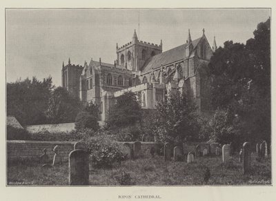 Cattedrale di Ripon da English Photographer