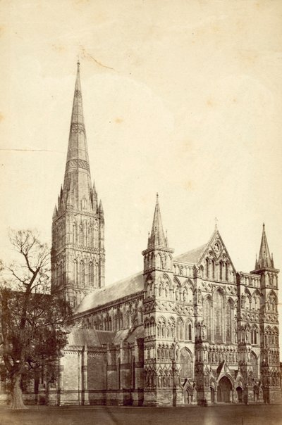Cattedrale di Salisbury da English Photographer