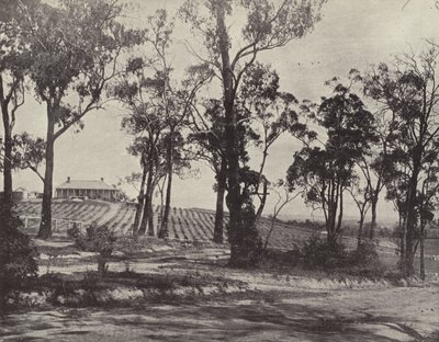Scena sulla strada di Gembrook, Victoria da English Photographer
