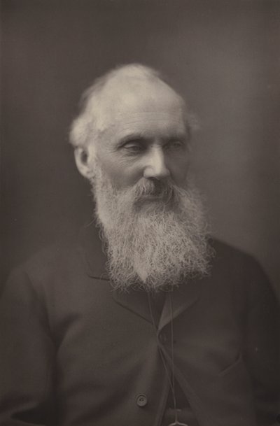 Sir William Thomson da English Photographer