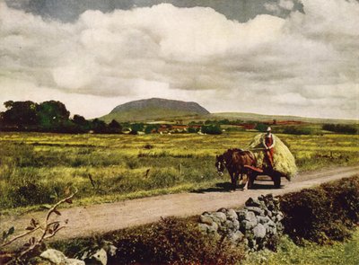 Slemish, Contea di Antrim (foto a colori) da English Photographer