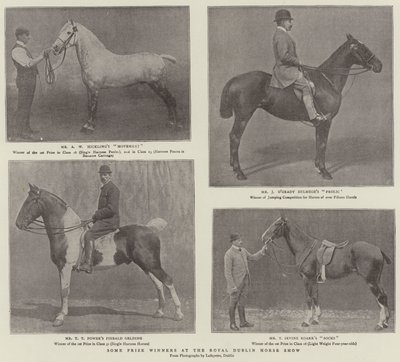 Alcuni vincitori di premi al Royal Dublin Horse Show da English Photographer