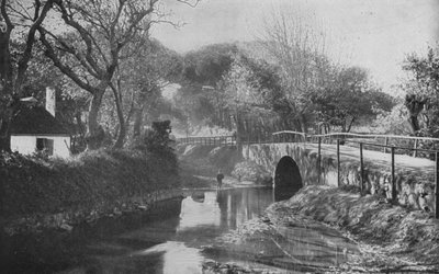 Sud Africa: Il Ponte, Mowbray da English Photographer