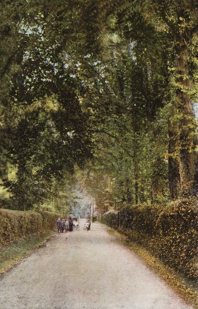 Spencer Road, Ryde da English Photographer