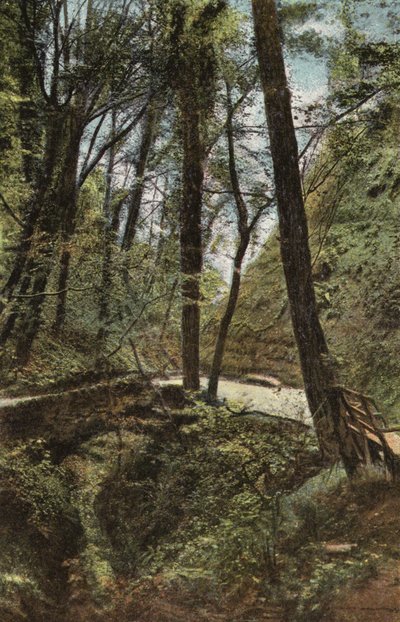 Ponte di Pietra a Shanklin Chine da English Photographer