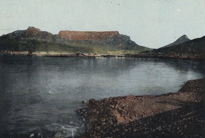 Table Mountain, Lion